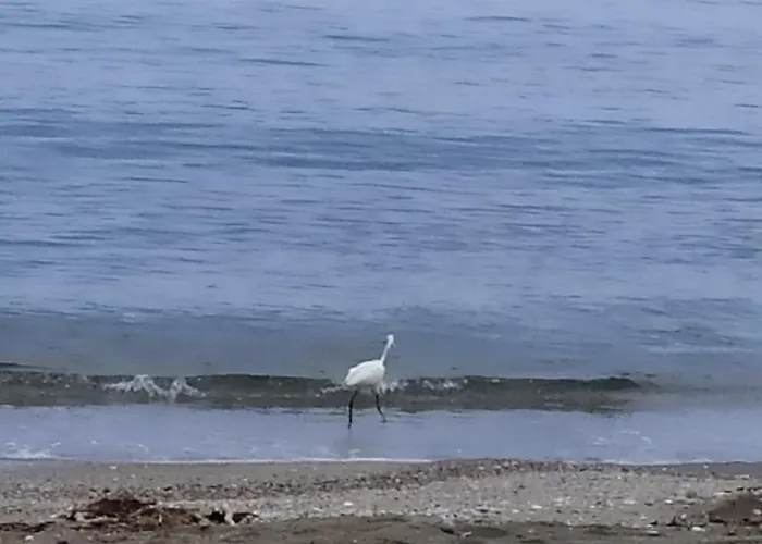 Apartamento Bebas Nea Karvali