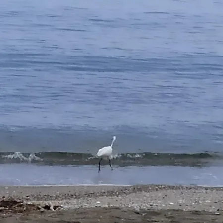 Апартаменты Bebas Неа-Карвали